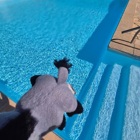Havre De Paix Appart Climatise,Piscine,Wifi Le Barcarès Kültér fotó